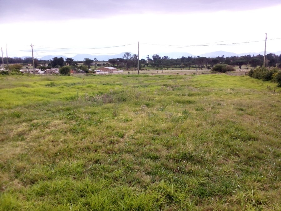  Bedroom Property for Sale in Albertinia Western Cape